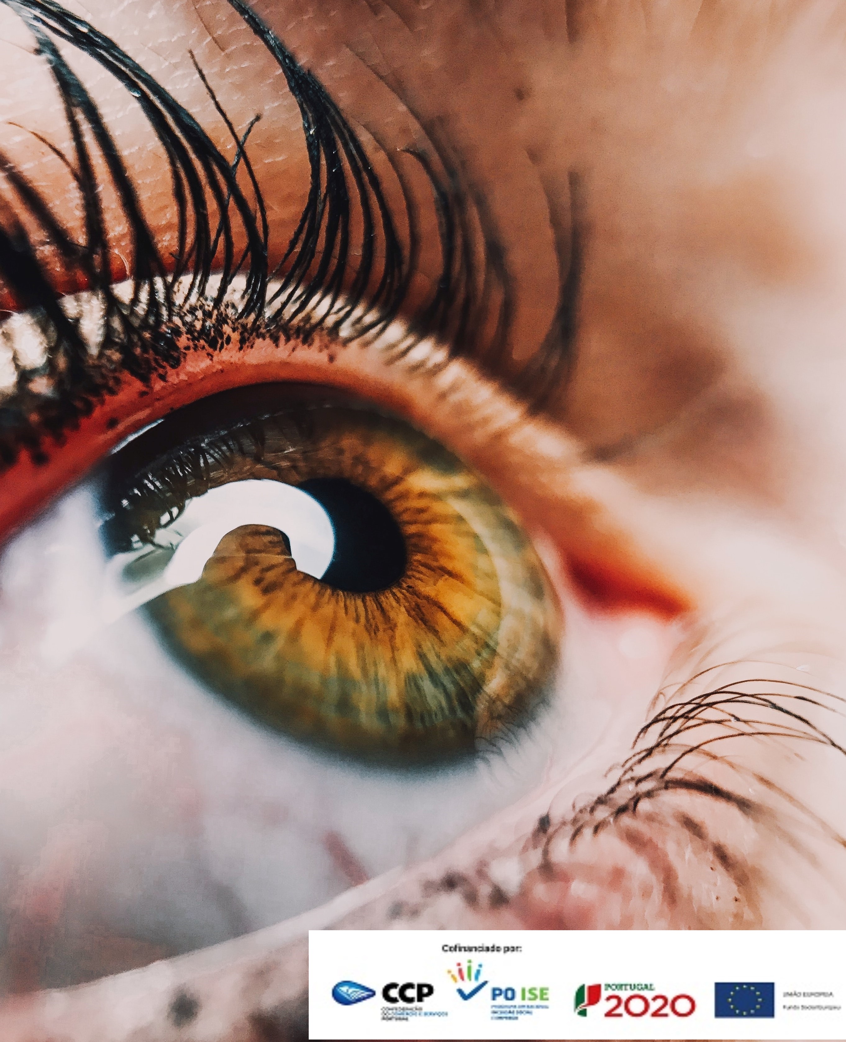 UF4219 - Anatomia e fisiologia do globo ocular