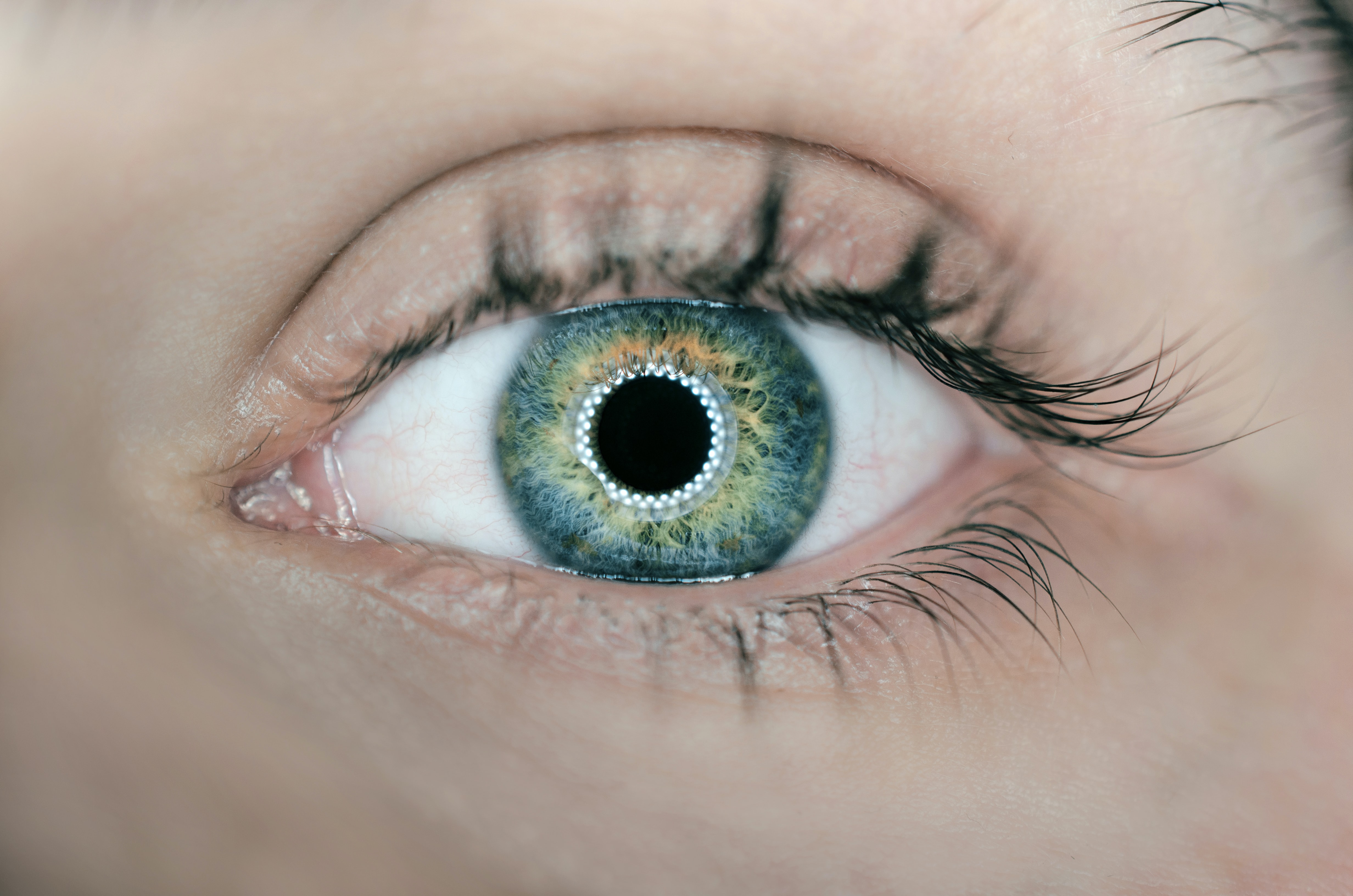UF8942 - Patologias Oculares